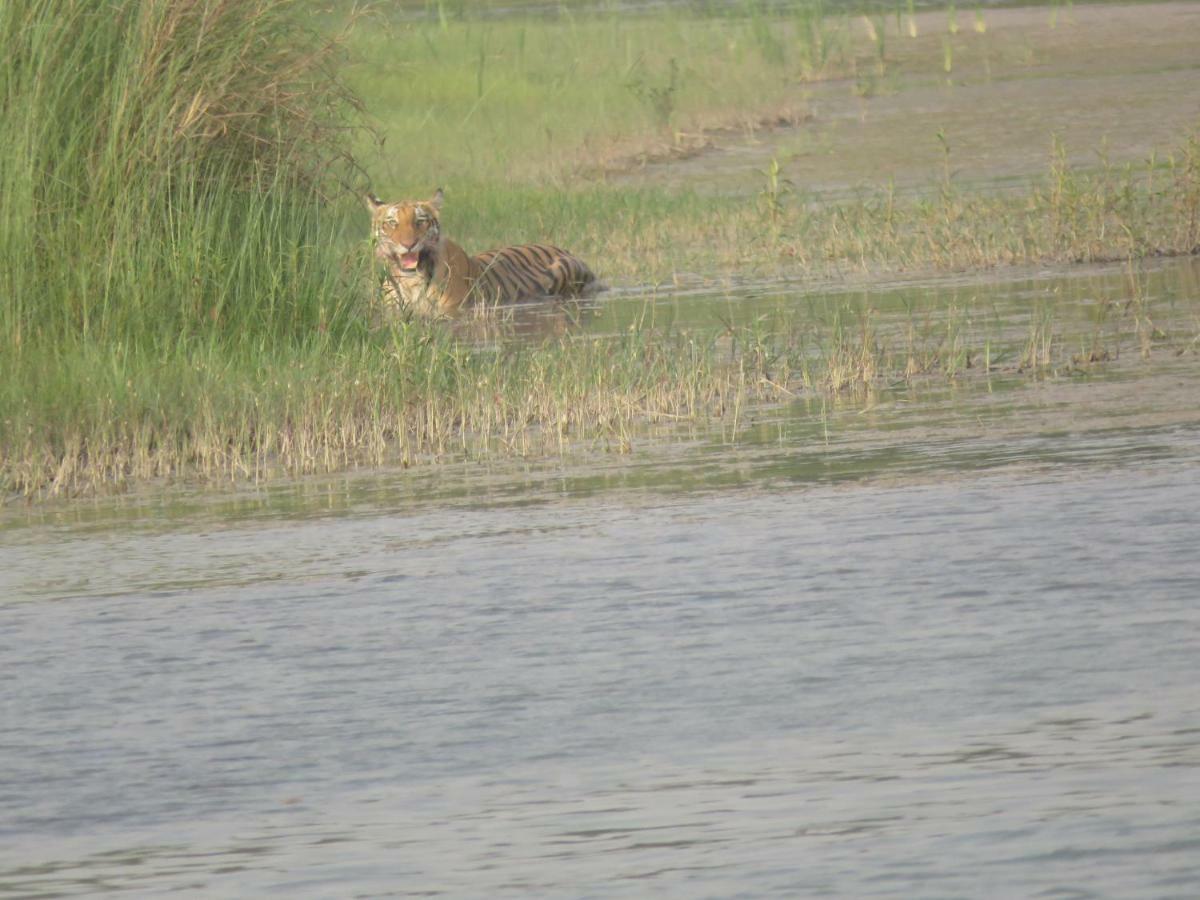 Prem Bardiya Homestay Bhurkia Buitenkant foto